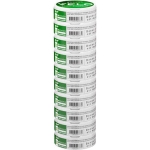 Bright Spearmint Stock 