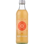 Kombucha Ingefära 275Ml Renée Voltaire