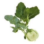 Kålrabbi Grön Klass 1