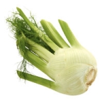 Fänkål Klass 1