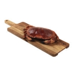 Krabba