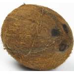 Kokosnöt