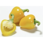 Paprika Gul
