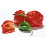 Peppar Habanero Röd