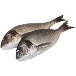 Havsabborre