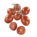 Tomat Plommon Baby