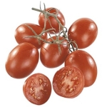 Tomat Plommon