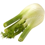 Fänkål Ca 