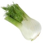 Fänkål