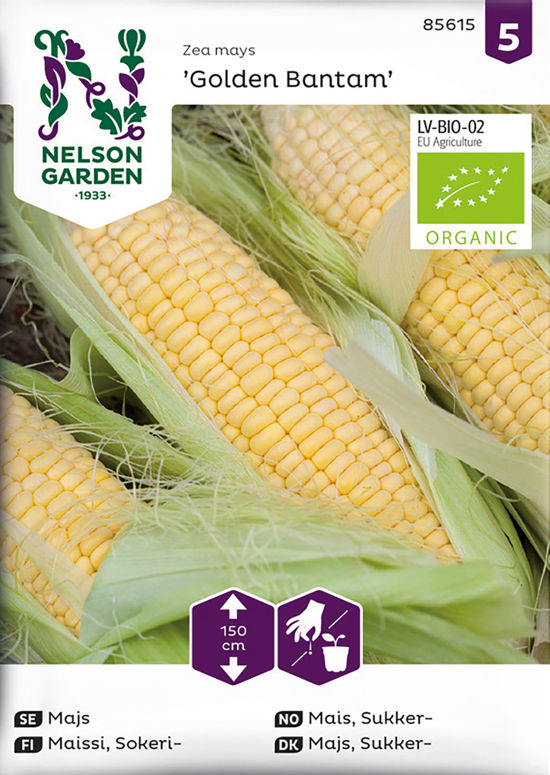 Majs, 'Golden Bantam product image