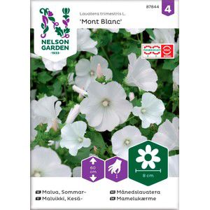 Malva Sommar Mont Blanc 1-p Nelson Garden product image
