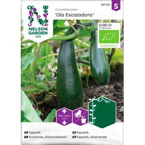 Squash Kläng Ola Escaladora 1-p Nelson Garden product image