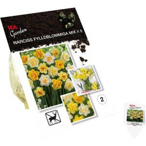 Narciss Dubbelmix 5-p ICA Garden product image