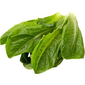 ROMANSALLAT I KRUKA product image