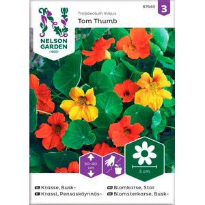 Krasse Busk Tom Thumb 1-p Nelson Garden product image