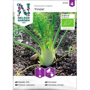 Fänkål Söt Finale 1-p Nelson Garden product image
