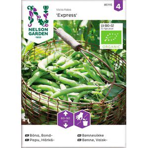 Bondböna Express 1-p Nelson Garden product image