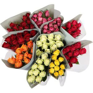 Rosor 10-p 50cm varierande färger product image