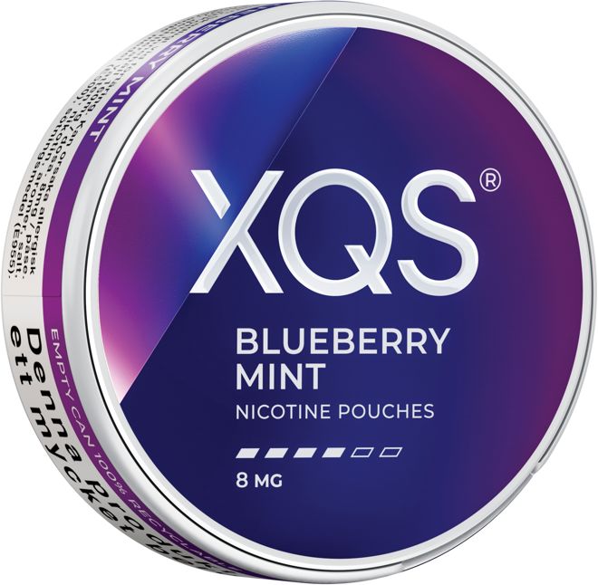 XQS Blueberry Mint product image