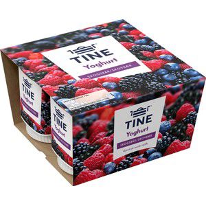 Yoghurt Skogsbär 4-p 600g Tine product image
