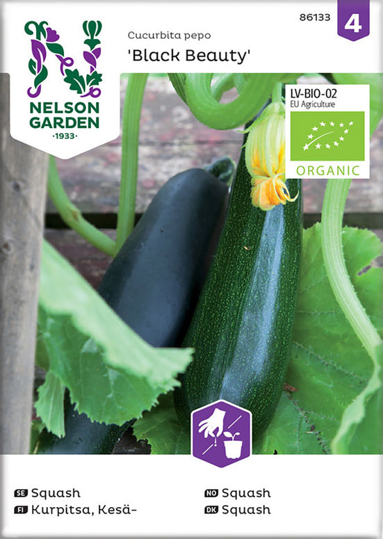 Squash, Organic Nelson Garden product image