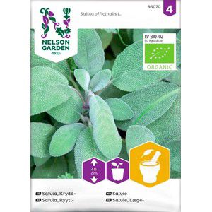 SALVIA FRÖ  product image