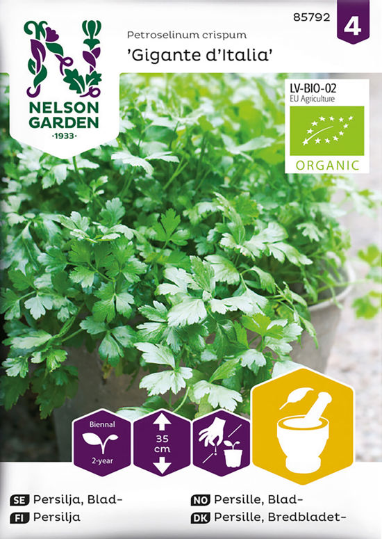 Persilja, Slätbladig Organic Nelson Garden product image