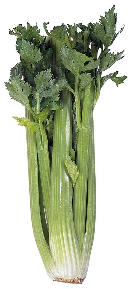 BLEKSELLERI - COOP product image